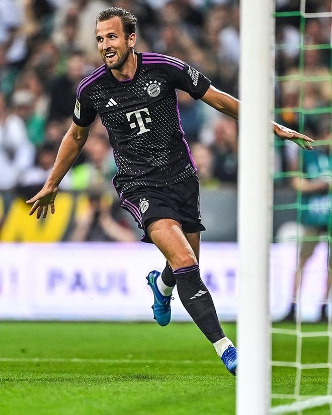 发展提供了 发展提供了