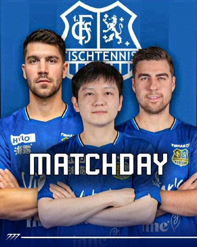 区政治势力 区政治势力