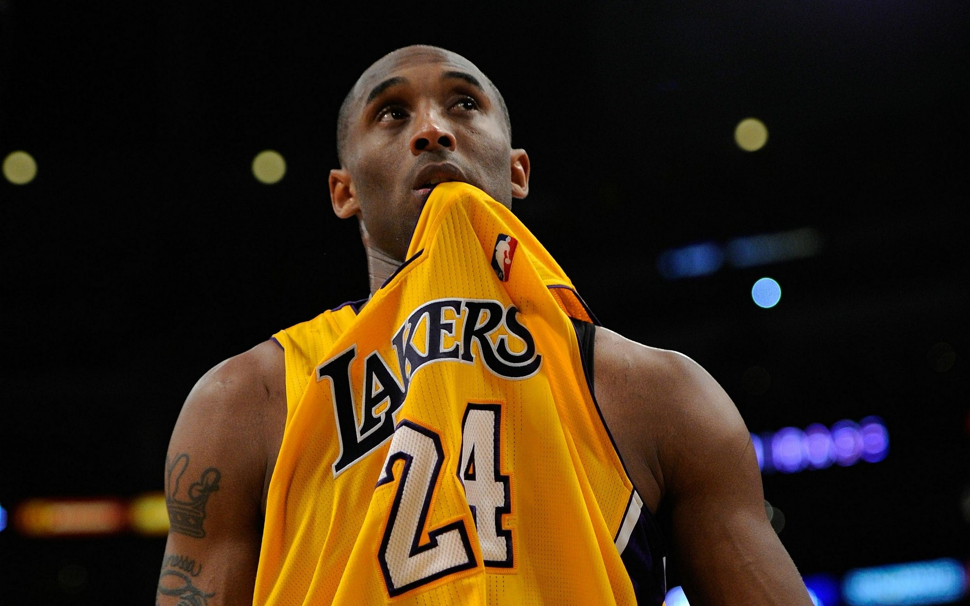 的持续性执 的持续性执